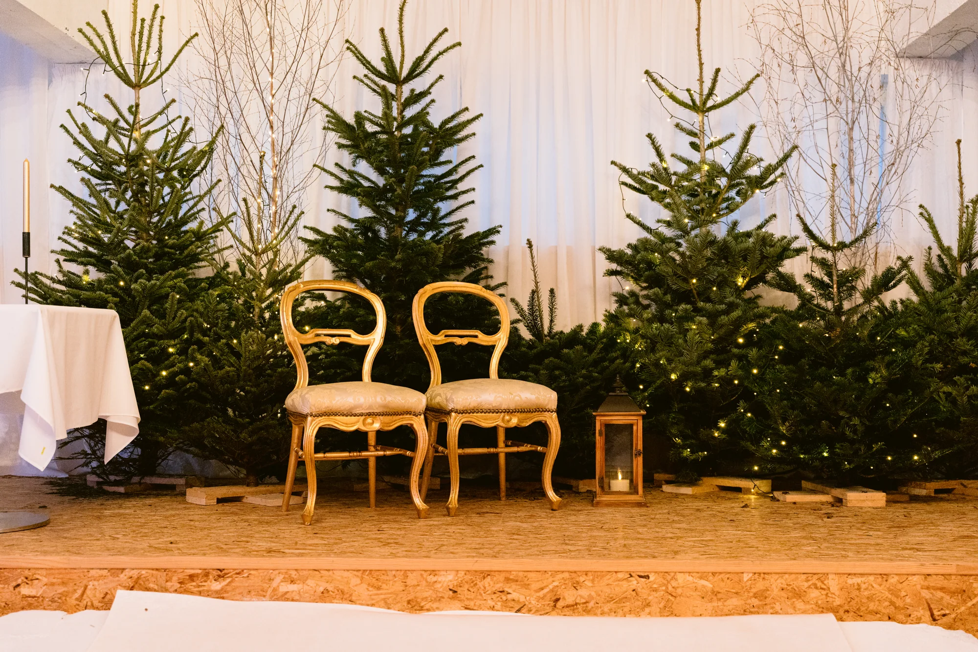 Les chaises dorées et les sapins de la cérémonie
