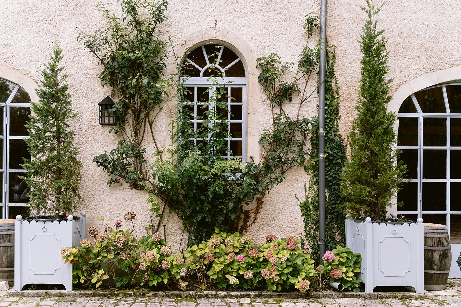 Des plantes grimpantes et des hortensias entourent les fenêtres d’une façade claire.